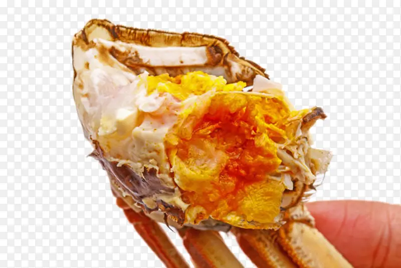 红色美味的食物清蒸大闸蟹内部实