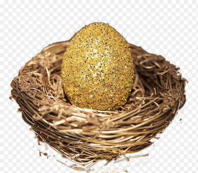 创意鸟巢中的金蛋