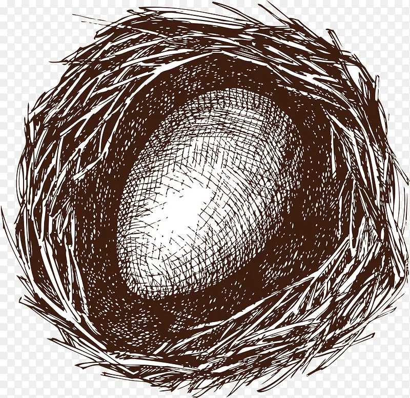 鸟巢里的蛋