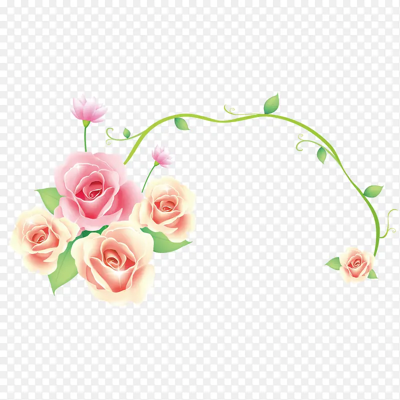 玫瑰花带