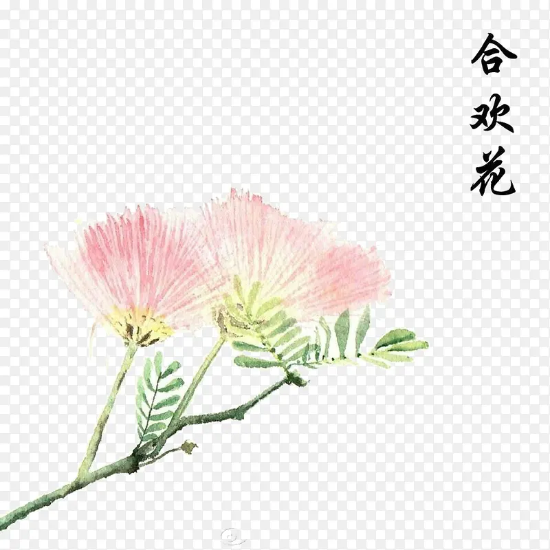 合欢花手绘免抠素材