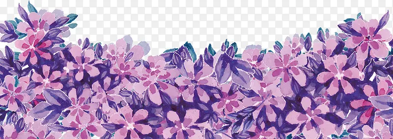 手绘粉色和紫色的花