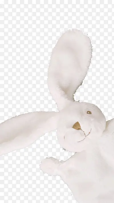 纯白色兔子玩偶
