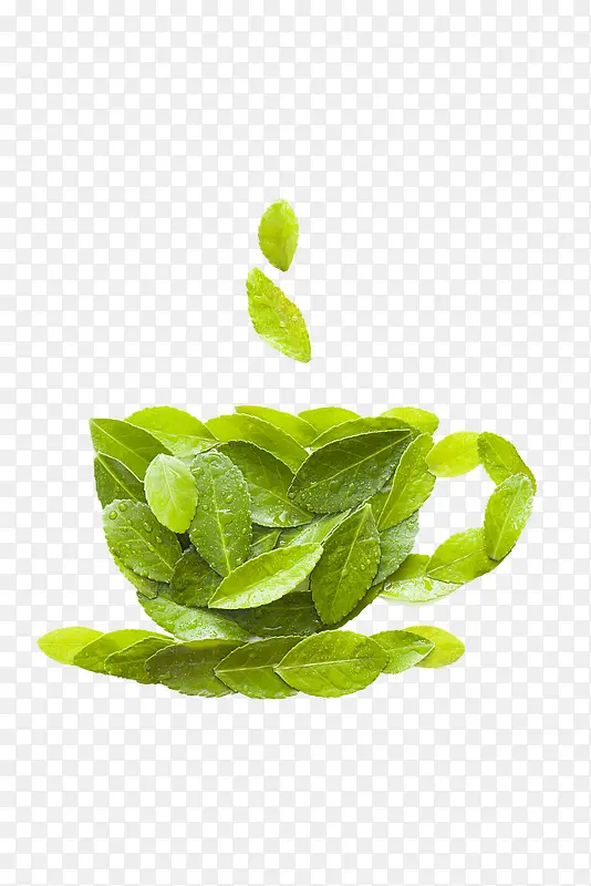 茶叶杯子