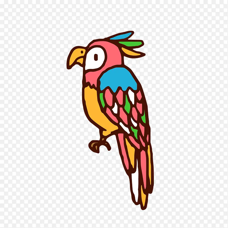 卡通彩色的手绘鹦鹉
