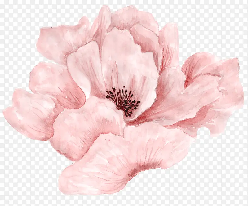粉色盛开唯美花朵