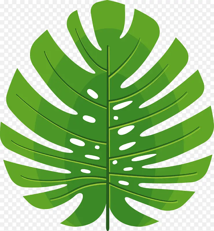 绿洲棕榈叶叶子素材图