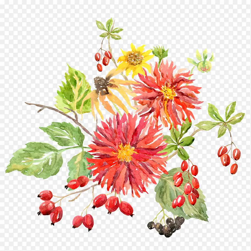 手绘红色花朵花卉花草装饰