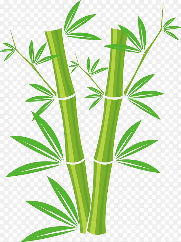 绿色春季清新竹子
