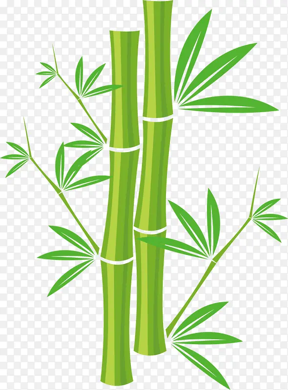 绿色春季清新竹子