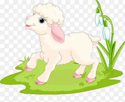 草地上的小羊羔