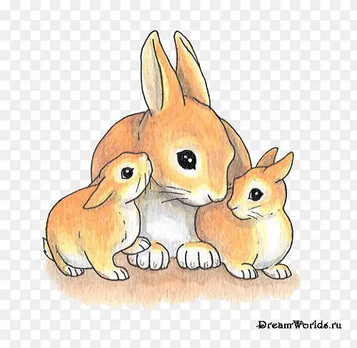 兔子妈妈的一家手绘图