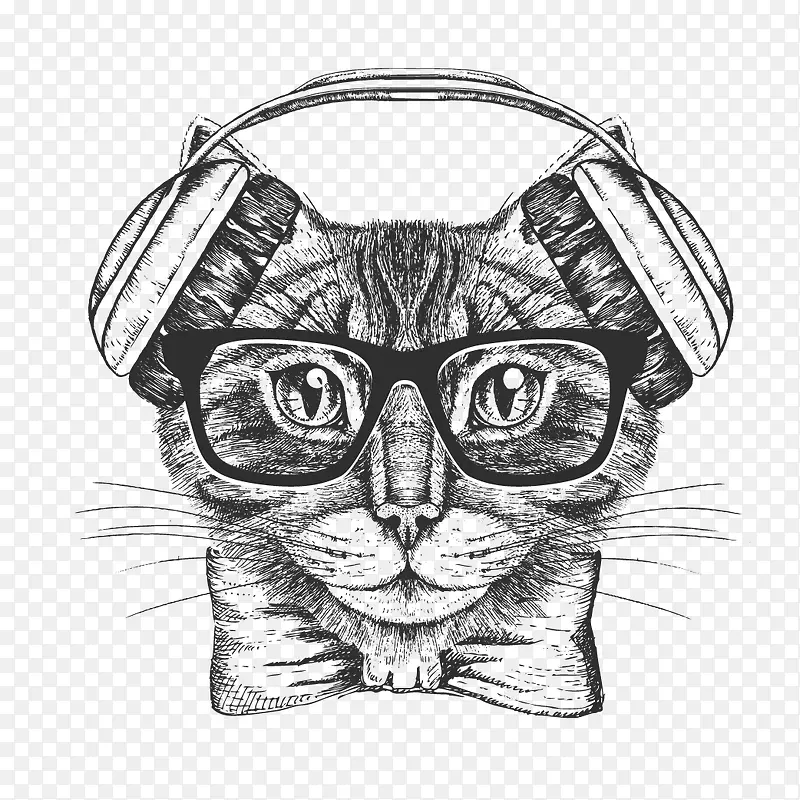 戴耳机和眼镜的猫咪