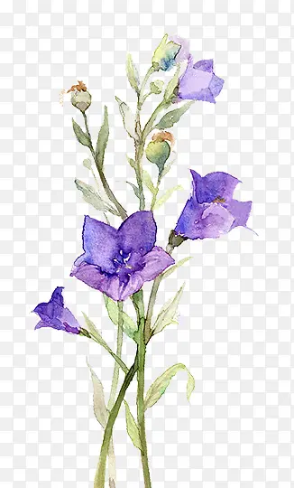 紫色唯美花卉图案