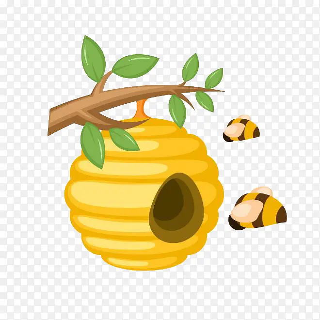 蜜蜂与蜂窝