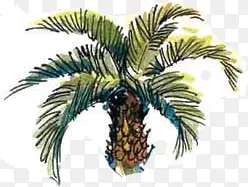 高清创意漫画风格手绘椰子树