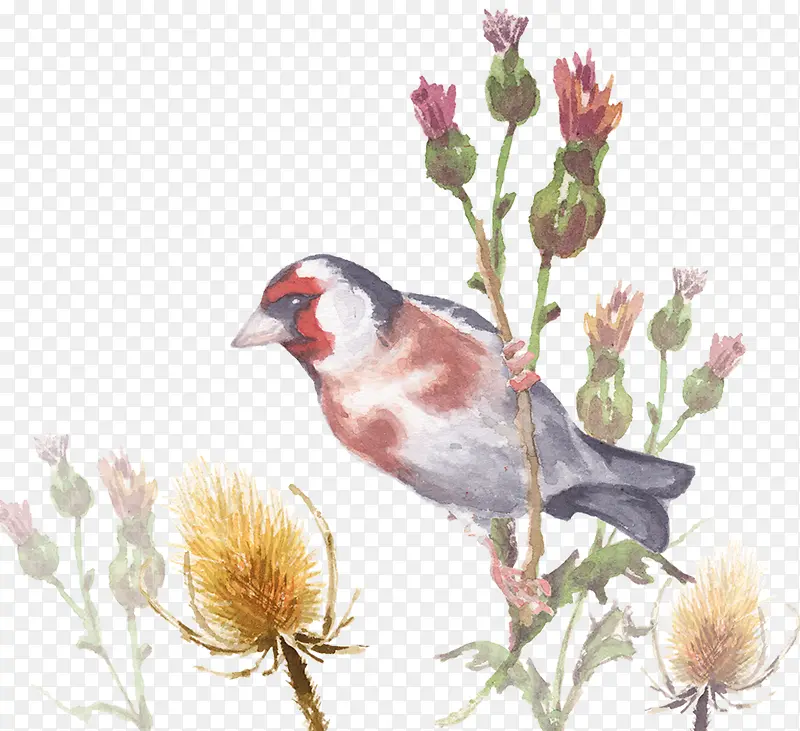 卡通手绘花卉与鸟