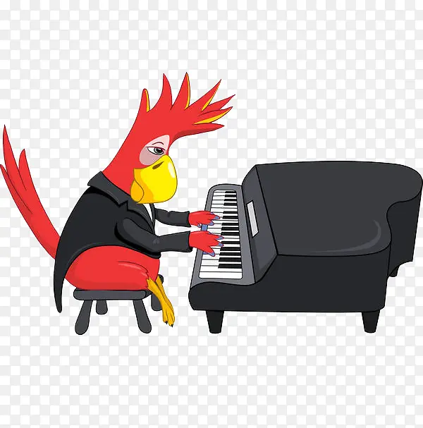 弹钢琴的鹦鹉