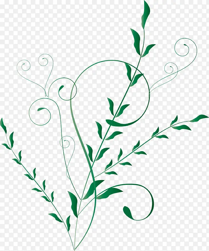 手绘绿色藤蔓设计图