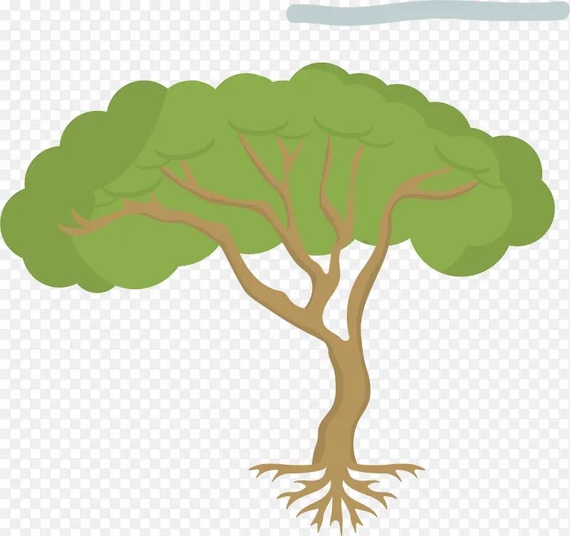 森林树木植树节绿色植物树木生长