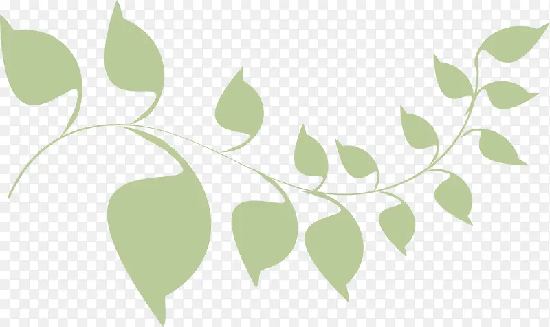 绿色树藤植物