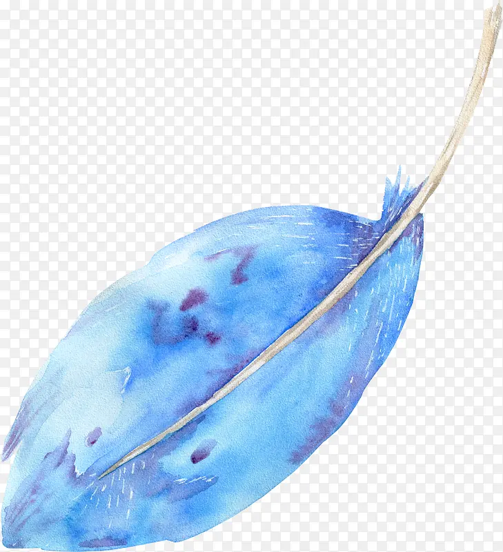 蓝色的羽毛手绘图