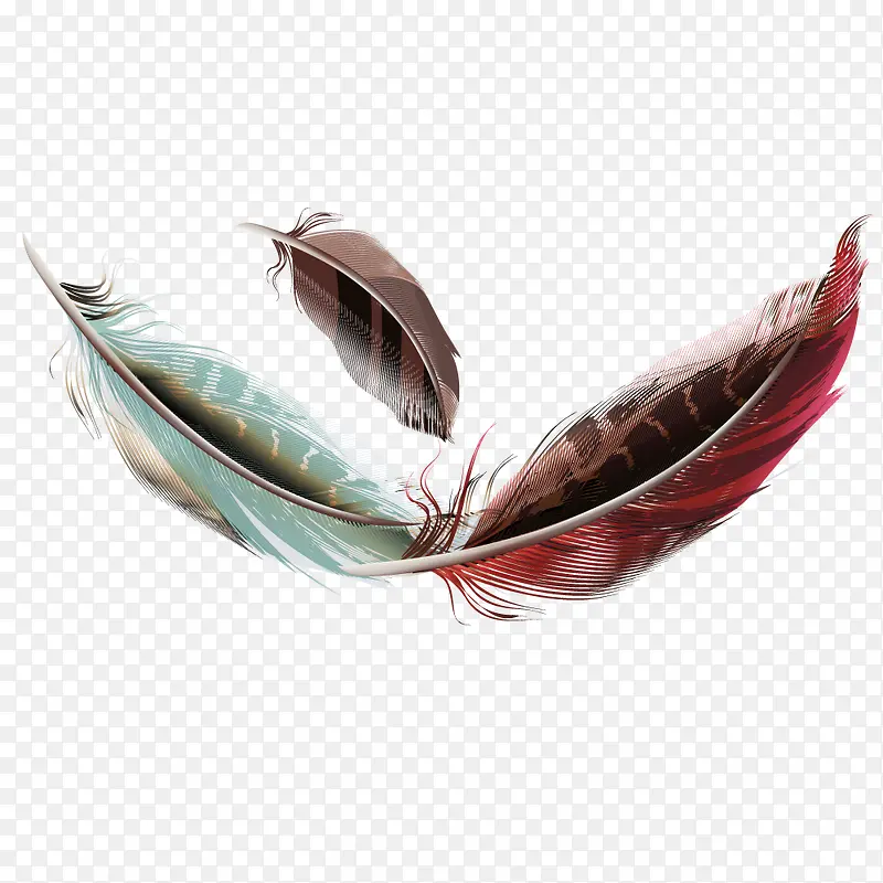 矢量彩色羽毛