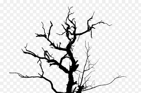 粗质感缠绕的树枝
