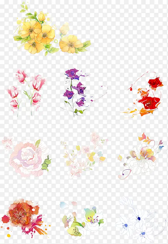 手绘水彩各种花卉