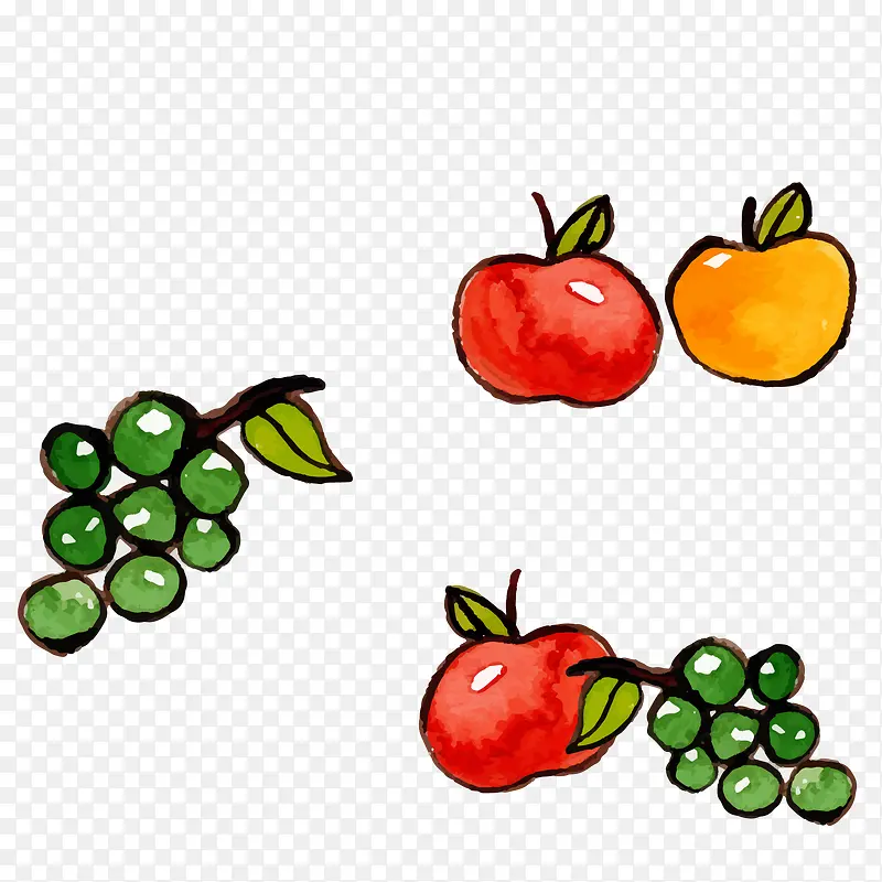 彩绘水果矢量图