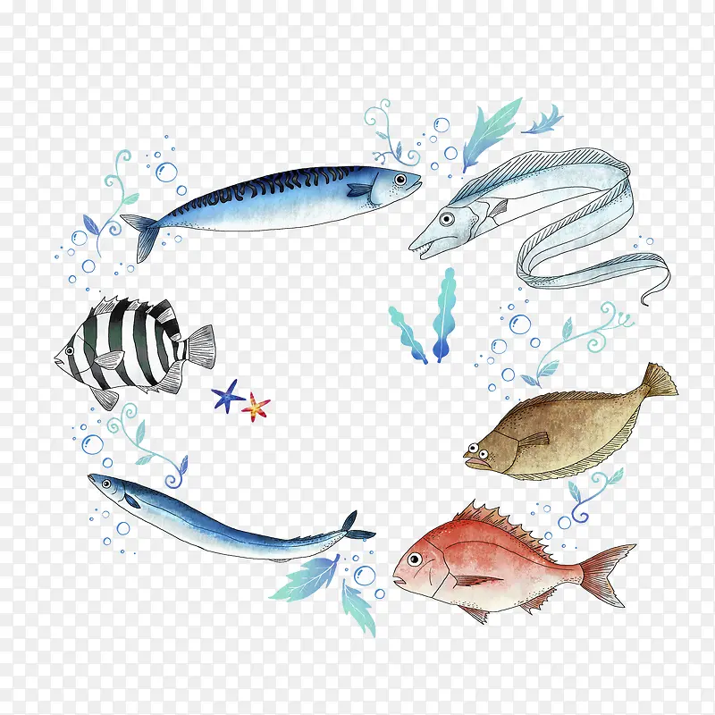 手绘海洋馆