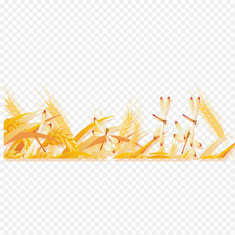 霜降节气金黄色小麦蜻蜓装饰下载