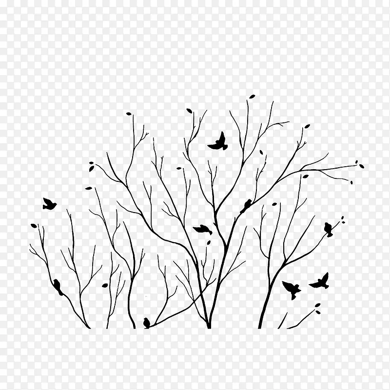 枯树枝和小鸟