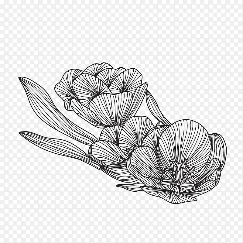 手绘花束黑白矢量图