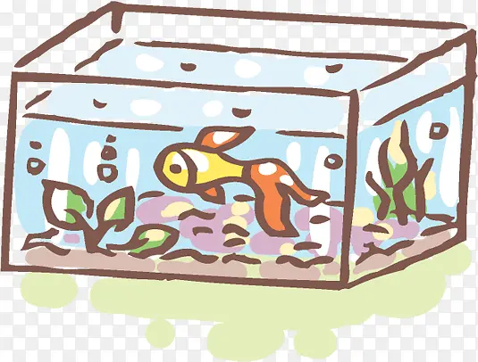 鱼缸里的金鱼手绘图