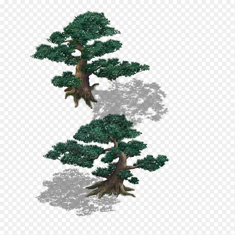 绿色植物PNG图片素材下载_图片编号yboangxq-免抠素材网