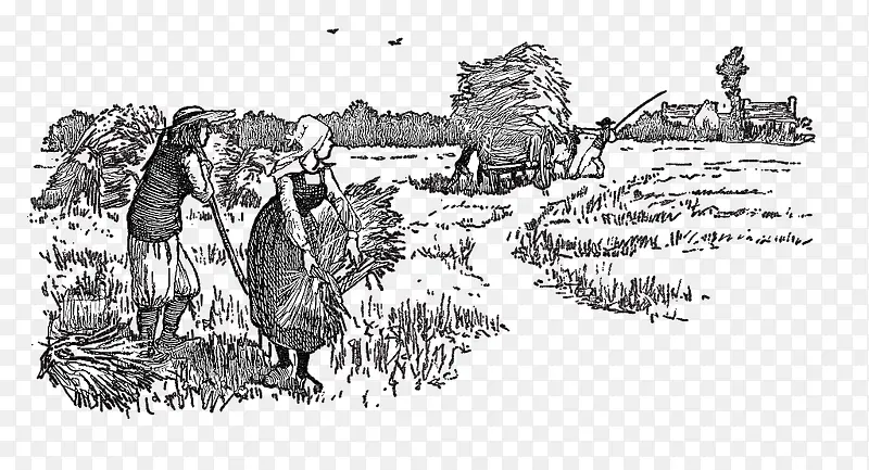 钢笔插图麦子地里收麦子的农民