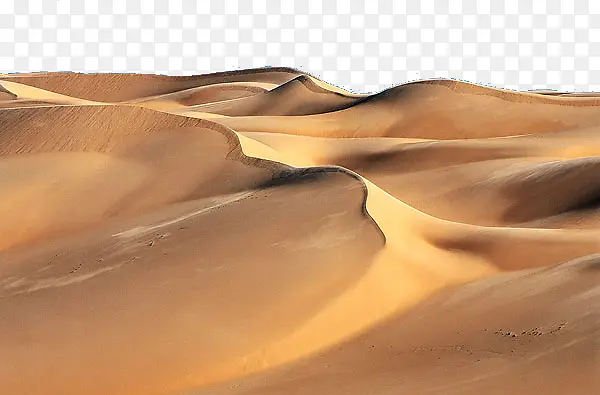 天然金色沙