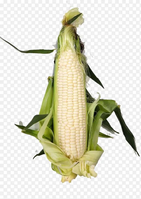 一只玉米