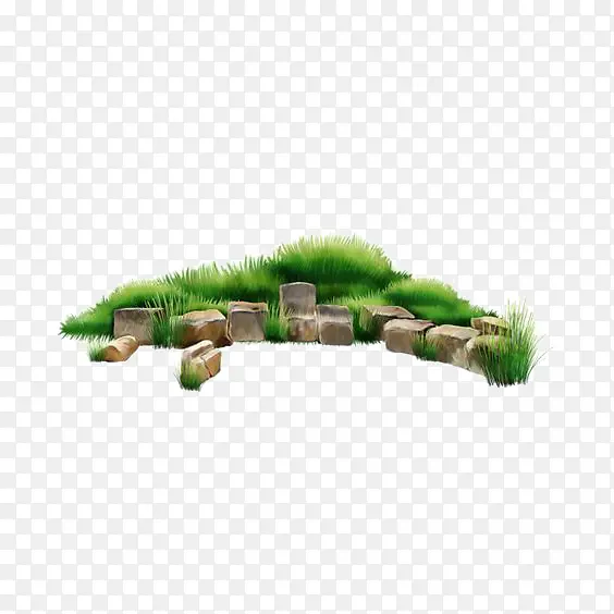 绿色草地