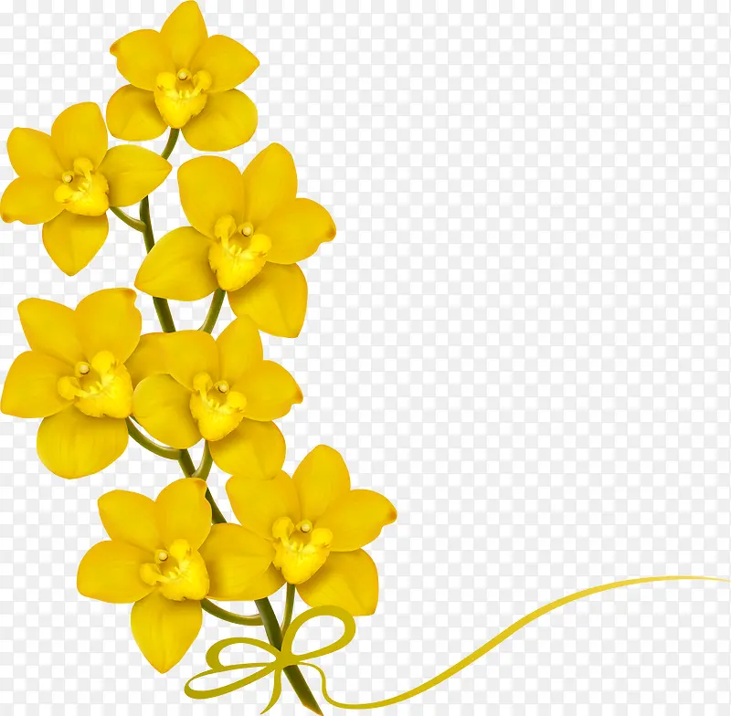 黄色花朵