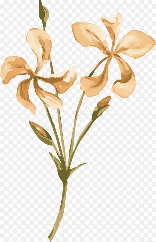 手绘黄花PNG下载
