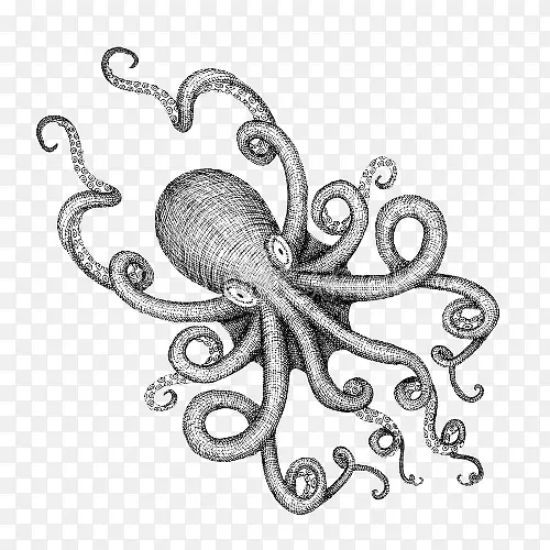 黑白卡通章鱼海怪插图