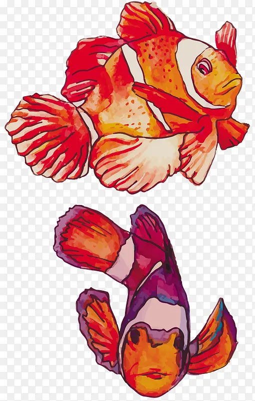 水彩手绘可爱小丑鱼