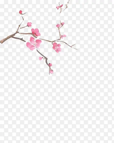 树枝上的粉色花朵中国画