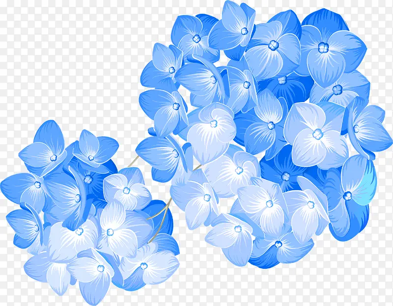 卡通手绘蓝色的小花