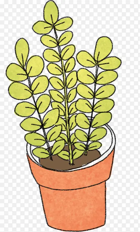 盆栽植物