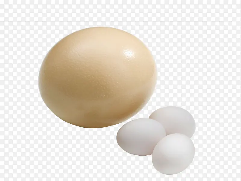 鸵鸟蛋和鸡蛋
