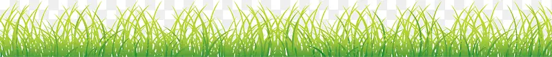 路边草丛