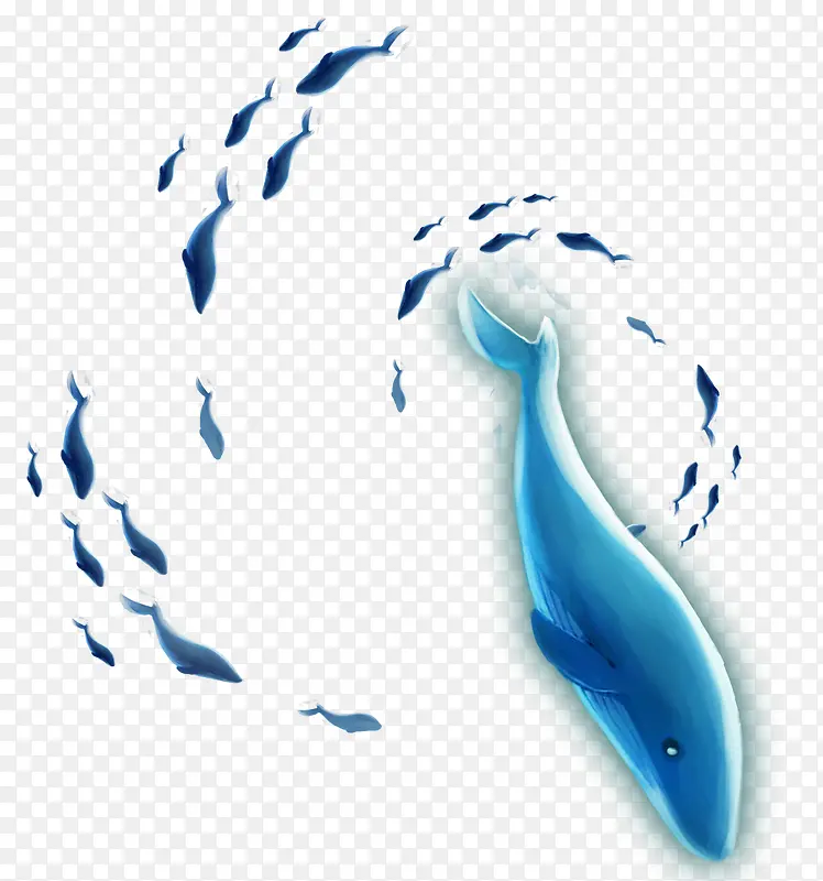 水彩装饰插图可爱海洋生物海豚插
